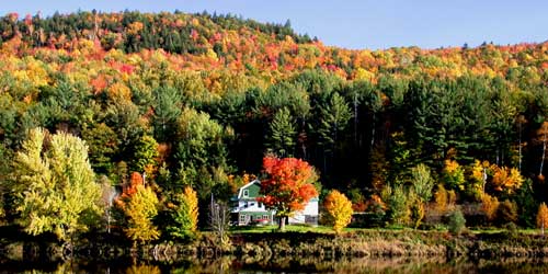 Maine Autumn Leaves with House