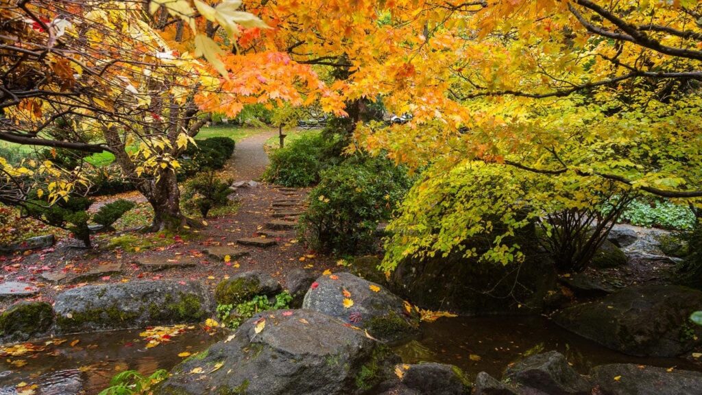  Stroll through Lithia Park in Ashland for fall foliage at its best.