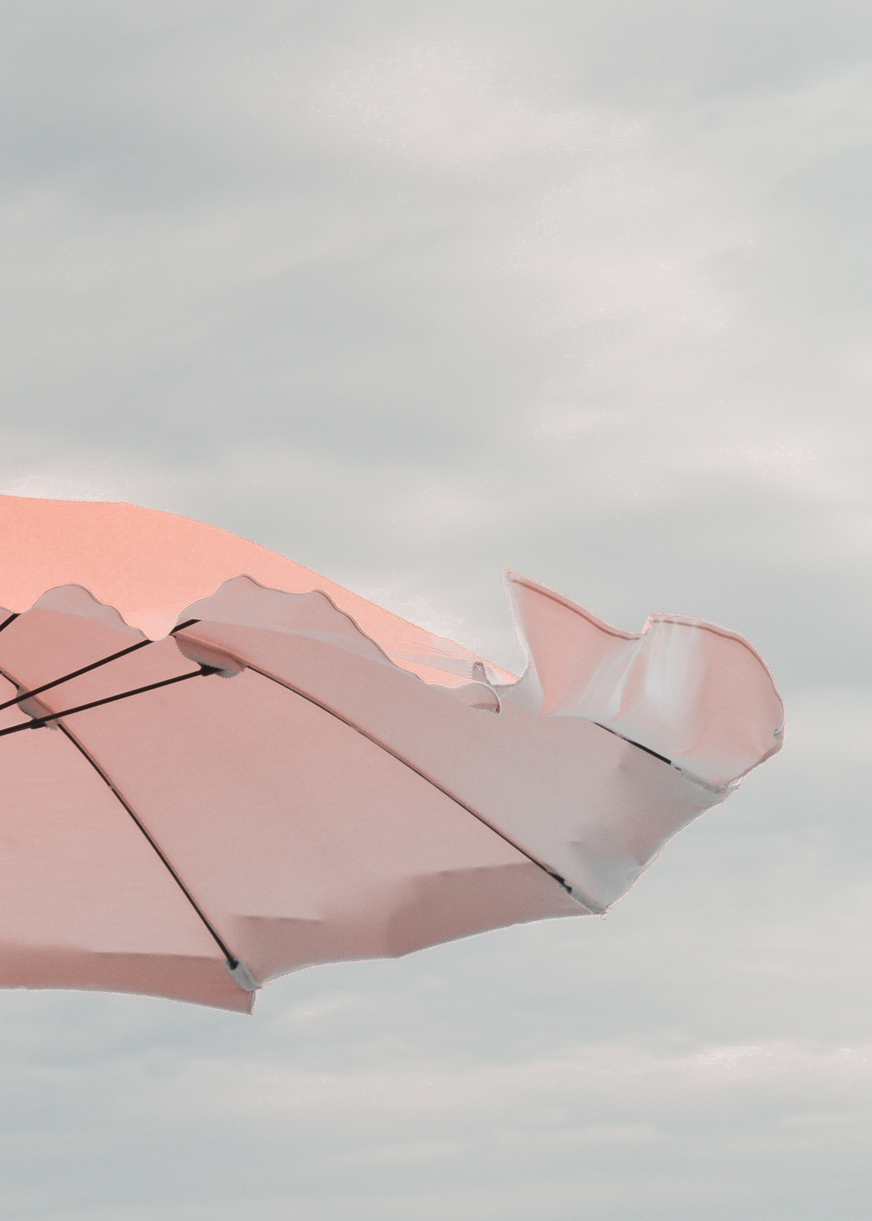 pink umbrella with blue sky