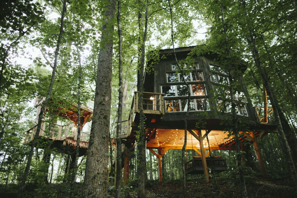 Bolt House Tree House