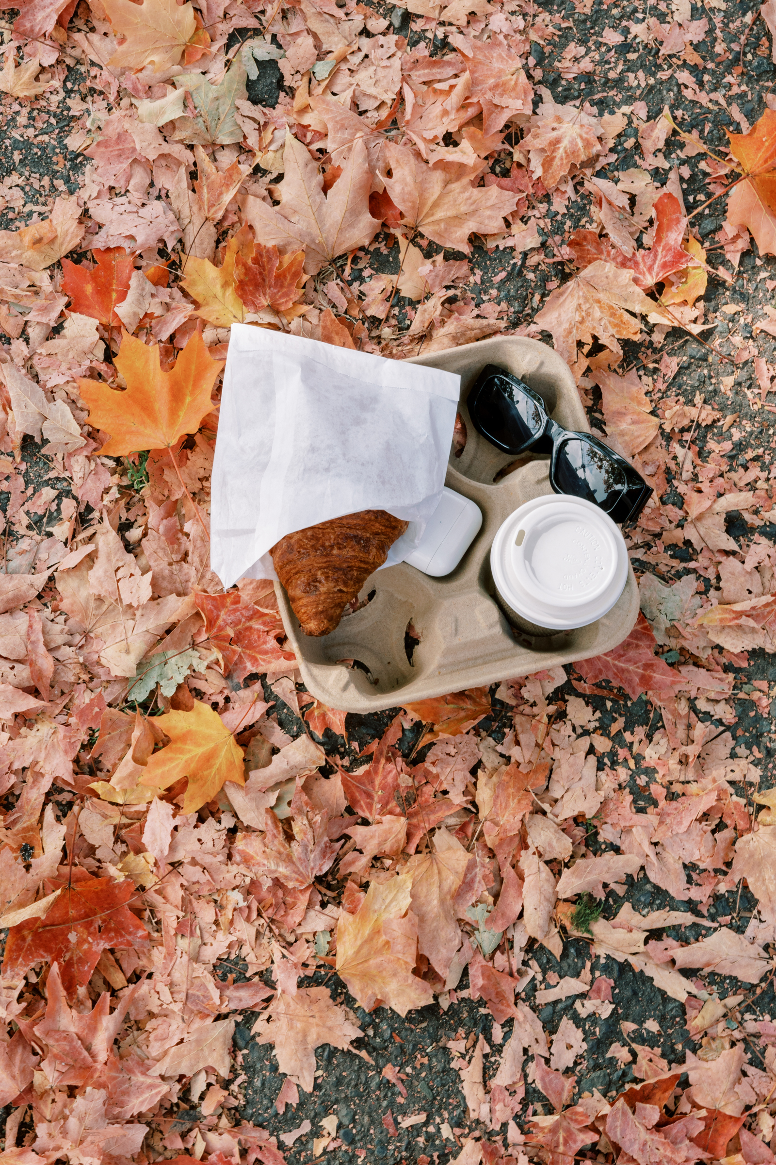 fall leaves flatlay